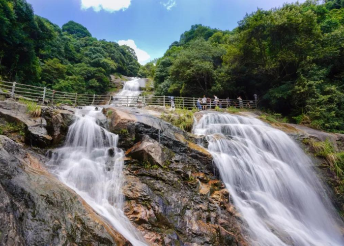 疫情开始和结束几月几日开始的呢，疫情从几月几日结束