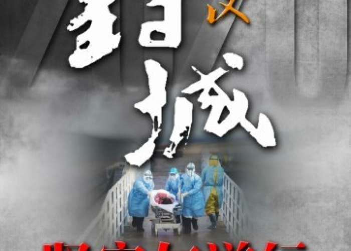 中国疫情从什么时候开始，中国疫情从什么时候开始封城