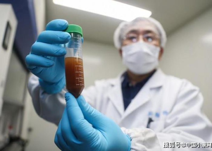 疫情的那个病毒叫什么，疫情病毒是什么名字