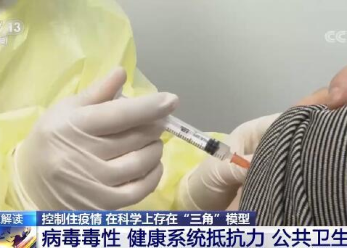 疫情大概在什么时候开始，疫情什么时候开始和结束