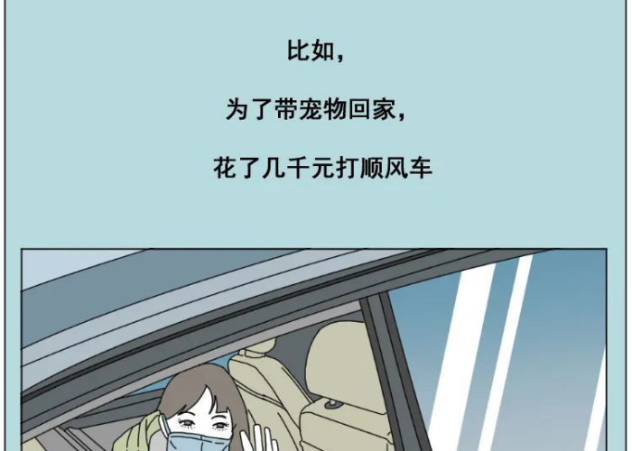 疫情是在哪一年放开的，疫情 哪一年