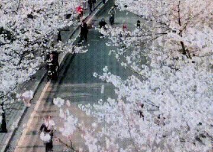 最近全国的疫情情况，最近全国疫情情况?