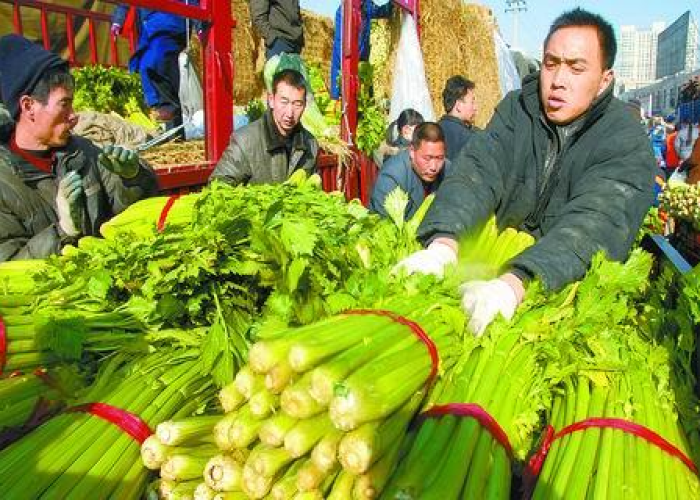 疫情三年经营困难范文，受疫情影响企业经营困难情况报告