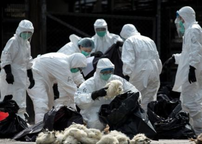 疫情最新报告中国，疫情中国最新数据
