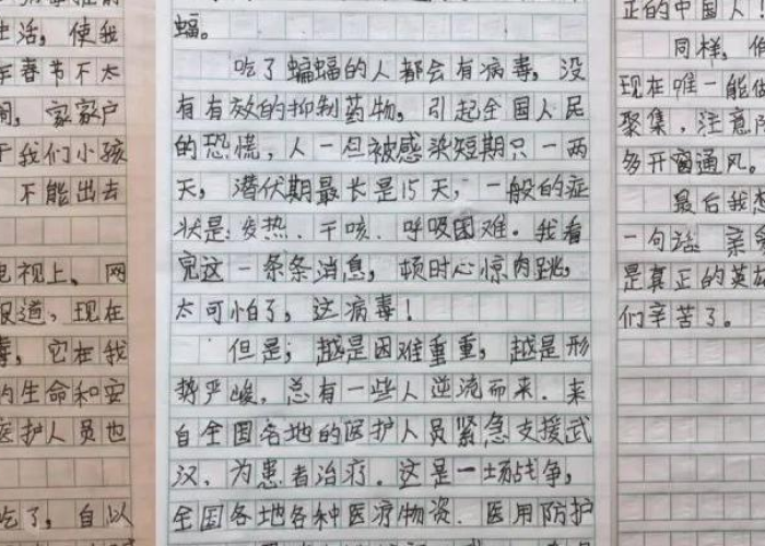 三年疫情背后的真像作文怎么写，3年级对疫情现象写篇作文
