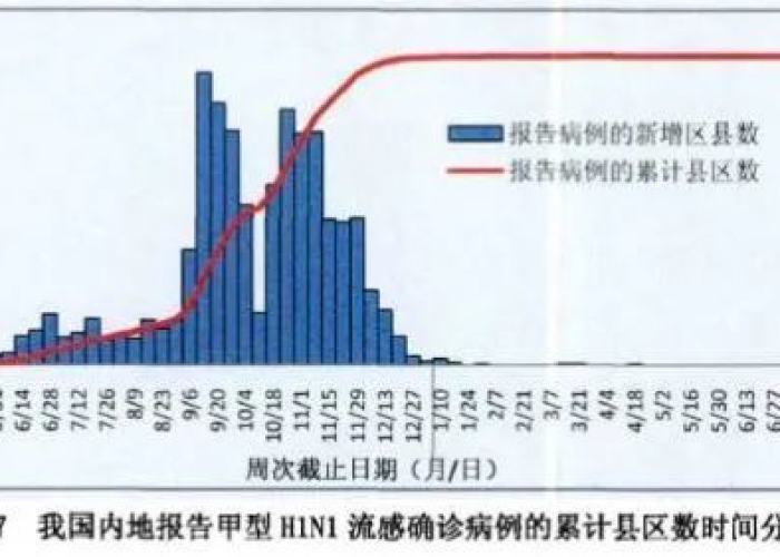 疫情大约什么时候开始的，疫情什么时候正式开始的