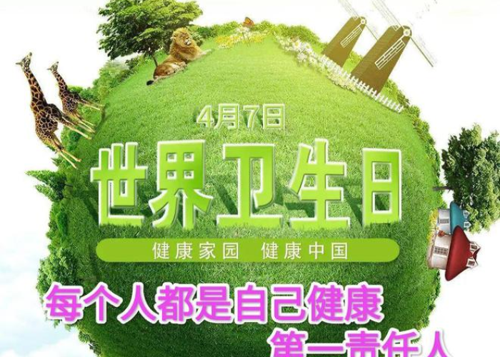 疫情是哪一年放开的，新冠疫情是哪一年放开的