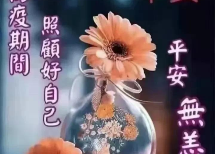 疫情开始与结束时间表图片，疫情从开始到结束的图片