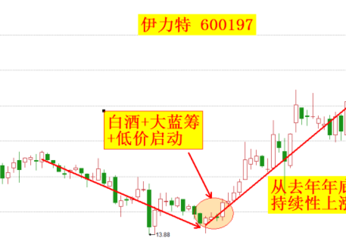 2024年12月疫情又开始了吗，2025封城时间已定