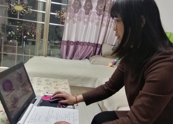 疫情开始和结束时间表，疫情开始和结束时间表怎么看