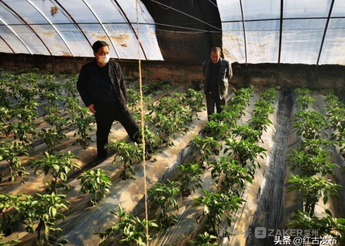疫情过后三年哪六件事尽量别碰，三年后疫情还会有吗
