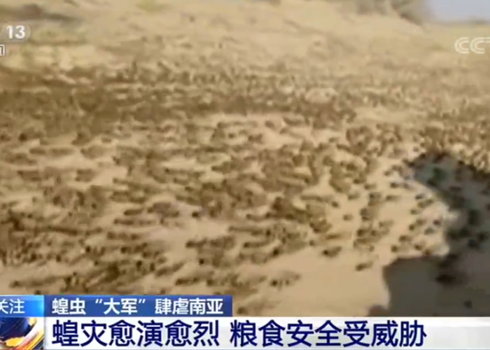 疫情是那年爆发，疫情是在几几年爆发的