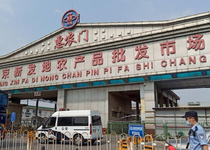 武汉新冠疫情什么时候开始的啊，武汉新冠啥时候开始的
