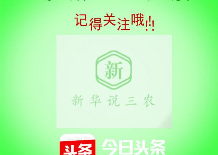 非洲疫情最新消息，非洲疫情最新消息数据