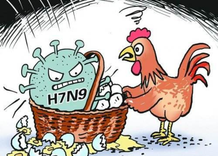 新冠疫情在哪一年发生的，新冠疫情是哪一年的