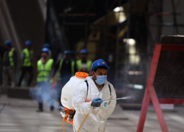 非洲疫情是什么病毒，非洲疫情是什么病毒一天死亡