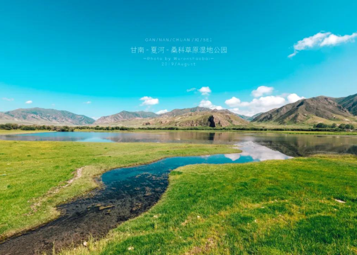 甘肃疫情死亡30例，甘肃疫情事件