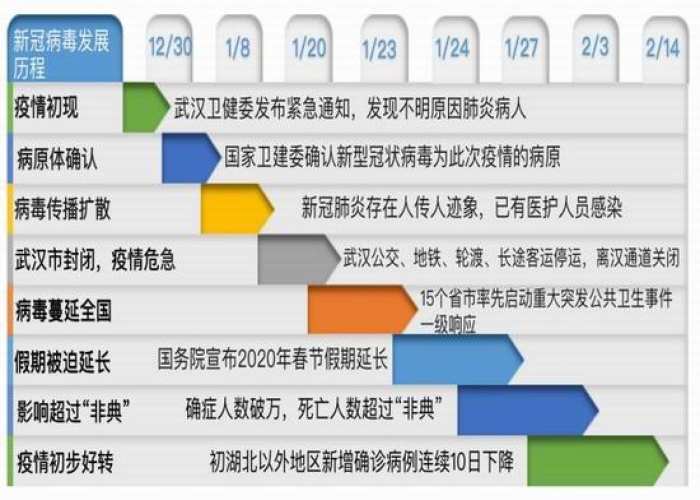 新冠疫情回顾全过程简述怎么写，新冠疫情过程介绍