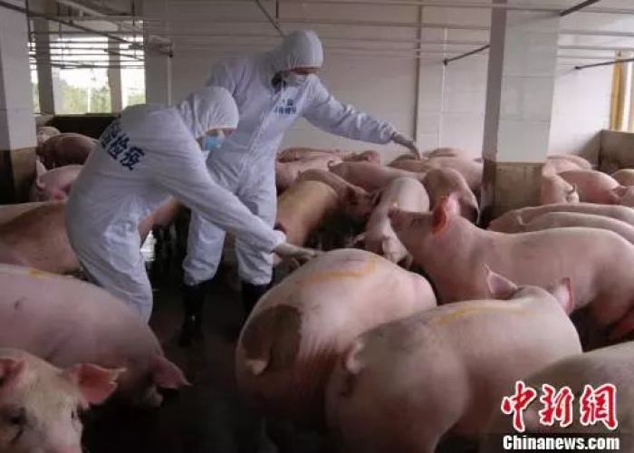 非洲疫情死亡人数最新消息，非洲疫情速度惊人死亡