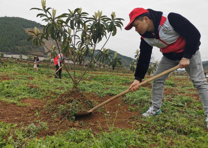 贵州疫情最新统计数据查询，贵州疫情报告最新