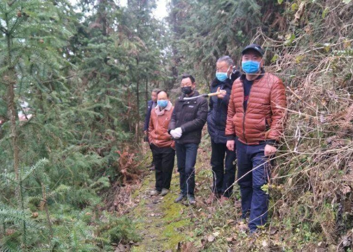 疫情估计什么时候解除，疫情估计什么时候解除管控