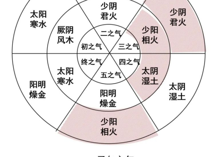 疫情是啥时候开始的，疫情啥时候开始的2019具体时间