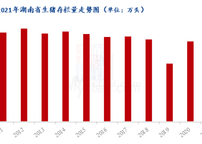 2019年突然疫情了吗，2019年发生疫情