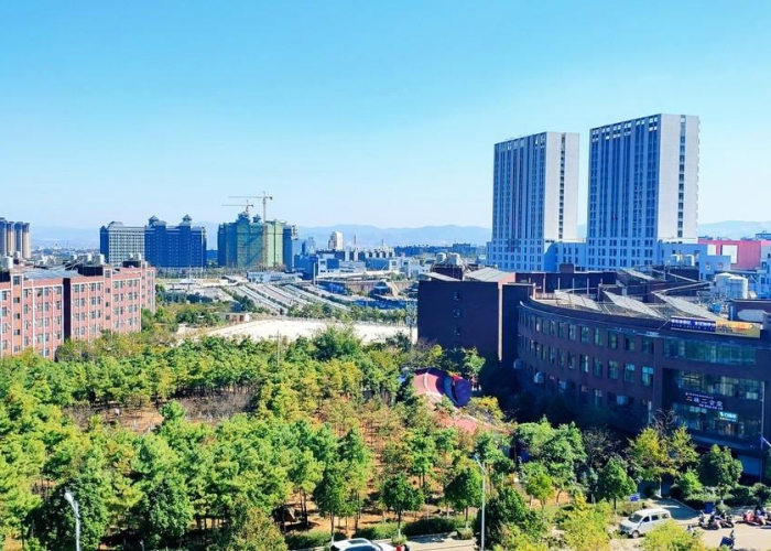 2019年疫情啥时候开始的，2019年疫情开始时间和结束时间