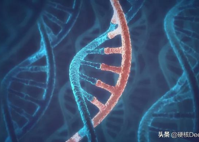 疫情时的病毒叫什么，疫情病毒属于什么病毒