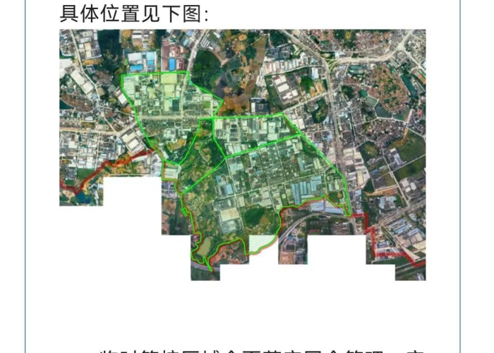 疫情全面放开，疫情全面放开的时间是哪一年