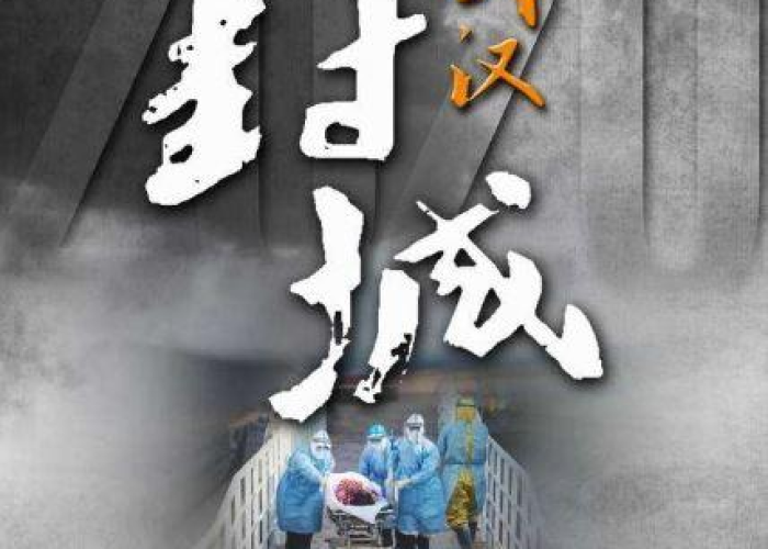 疫情从什么时候开始封城，中国疫情从什么时候开始封城