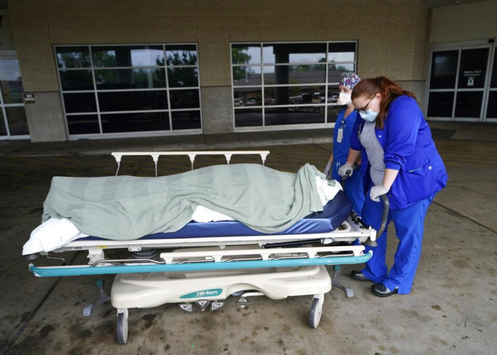 最新疫情死亡人数表格查询，疫情最新数据消息死亡人数和确诊人数百分比