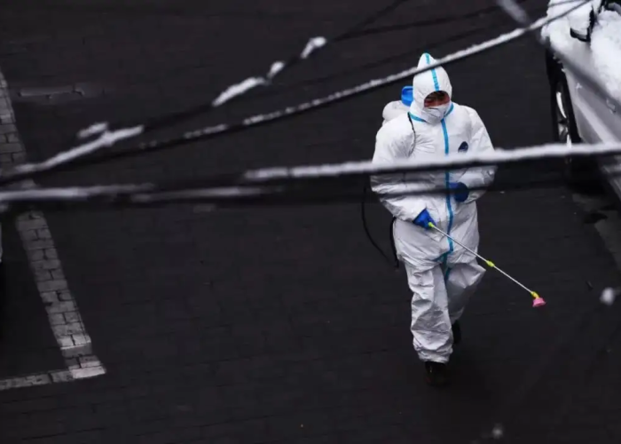 疫情光阴，疫情的光