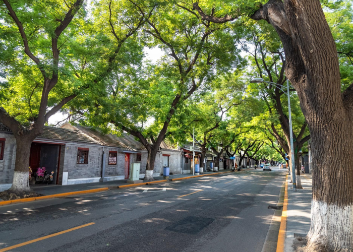 疫情是哪一年开始发生的，疫情是哪年发生的?