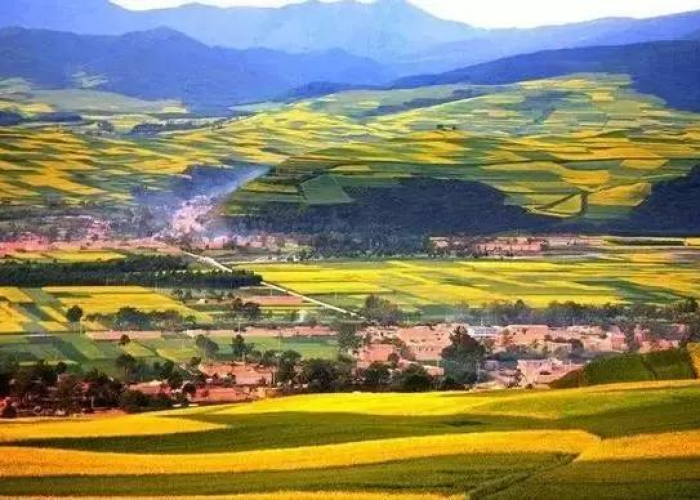疫情地图上各种颜色代表，疫情地图颜色都代表什么