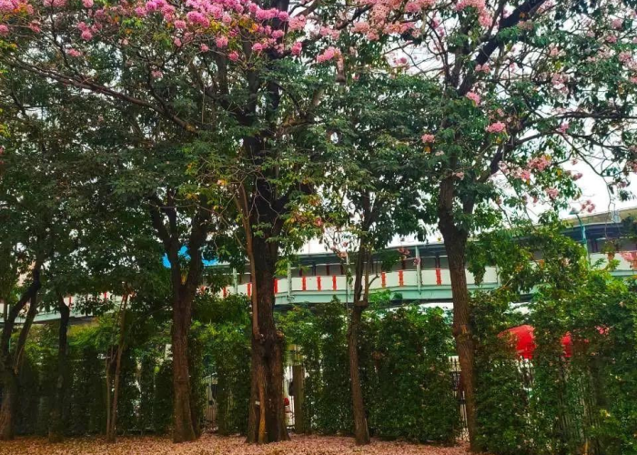 全球疫情排名榜最新排名榜中国，全球疫情最新排名表
