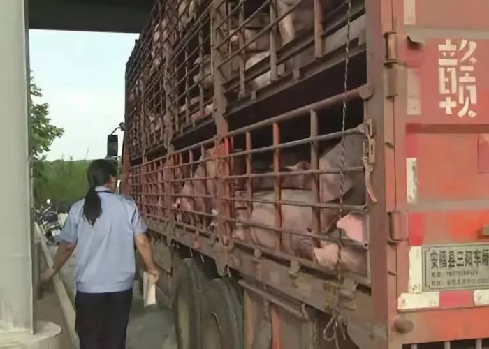 中国哪个地方有疫情爆发，中国哪里疫情又爆发了