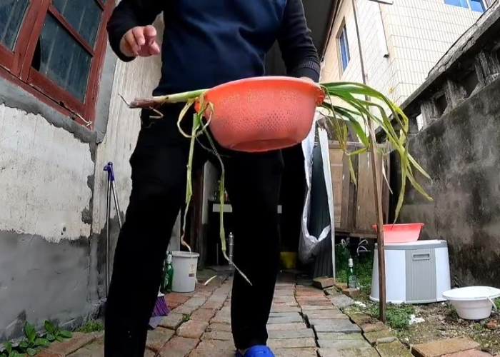 上海啥时候疫情解除，上海啥时候疫情解除的