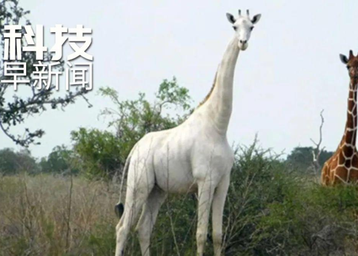 去年疫情是什么地方，去年 疫情