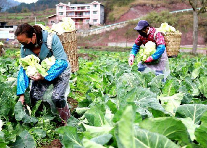 贵州疫情最新数据统计，贵州疫情最新情况最新消息规定