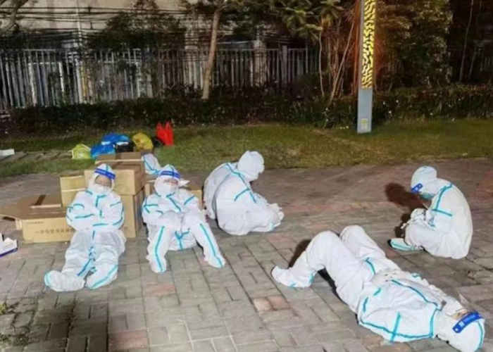 疫情是哪一年爆发的呢图片，疫情是哪一年爆发的呢图片高清