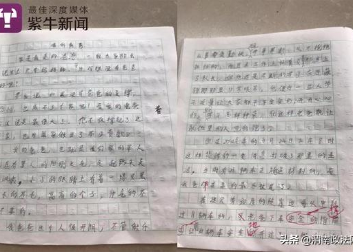 疫情下的家庭悲剧，疫情下的家庭悲剧作文