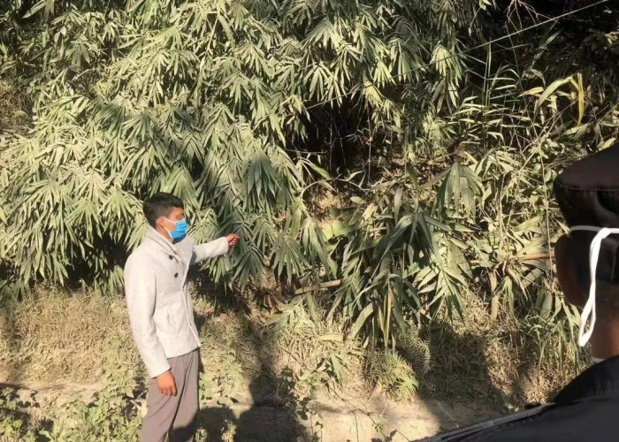 瑞丽疫情后房价会降吗，云南瑞丽疫情影响房价
