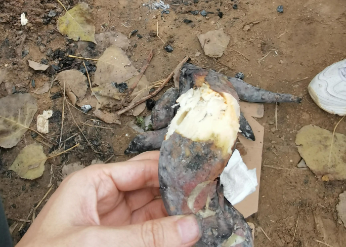 疫情什么时候开始,什么时候结束，疫情什么时候开始什么时候结束的