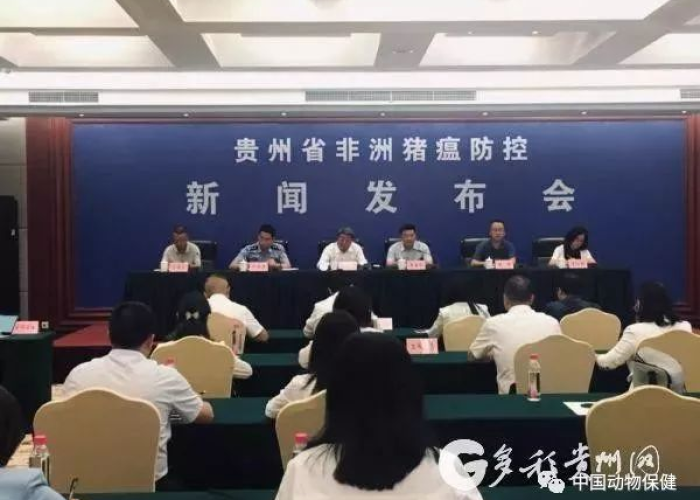 疫情最新情况贵州最新消息，贵州疫情最新通报今日
