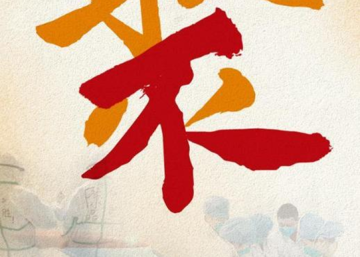 宁波本轮疫情排除国内疫情关联，宁波 本土病例
