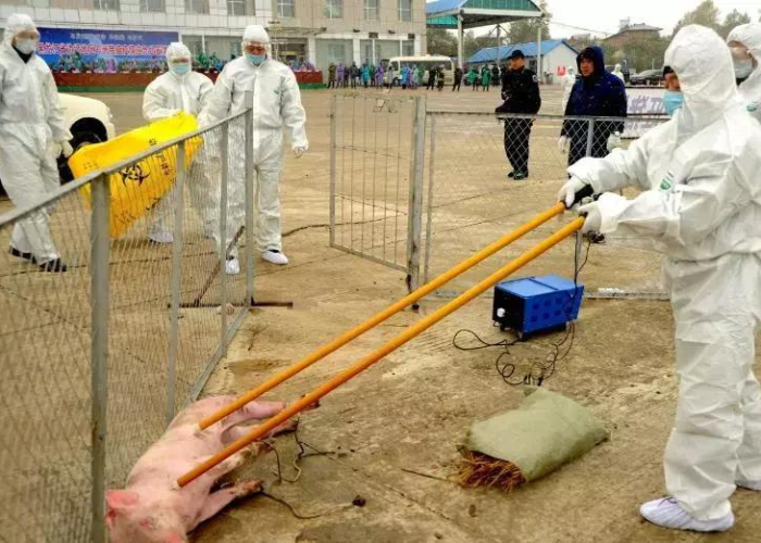 非洲疫情速度惊人死亡，非洲疫情被低估