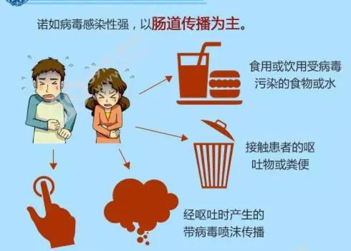 疫情的是什么病毒，疫情是什么病毒传染肠胃吗