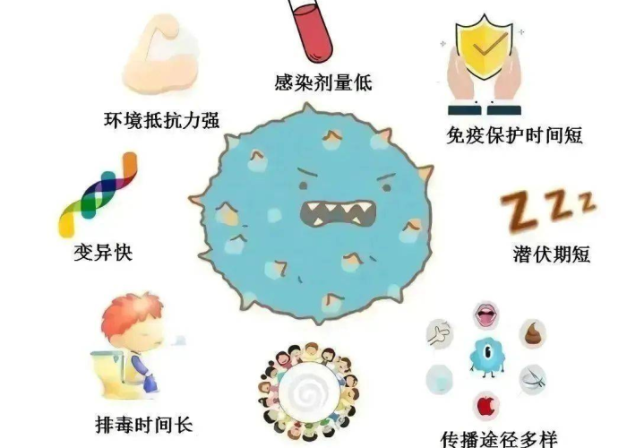 疫情的是什么病毒，疫情是什么病毒传染肠胃吗