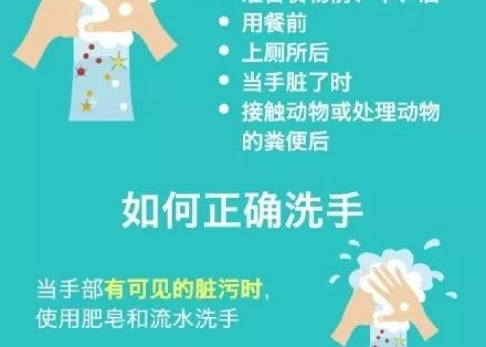疫情是啥时间开始的，疫情是啥时间开始的呢
